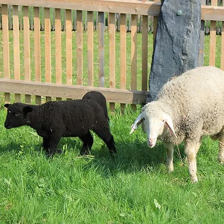 Stoeckigtsmuehle Daire