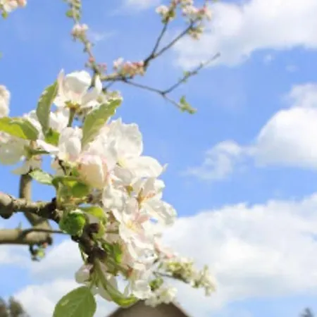 Daire Stoeckigtsmuehle Schleiz