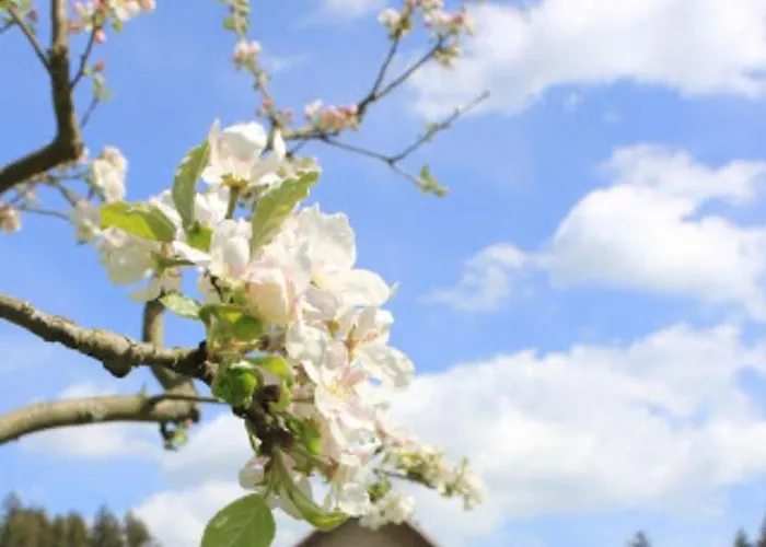 Appartement Stoeckigtsmuehle Schleiz