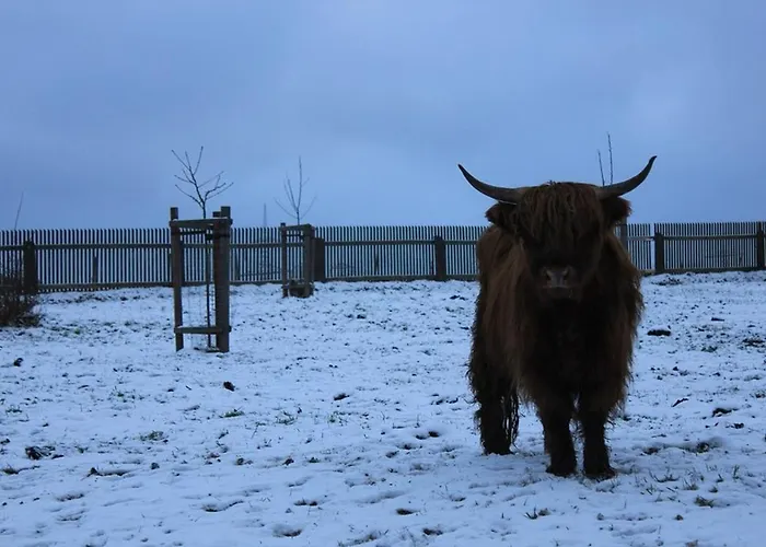 Stoeckigtsmuehle Schleiz